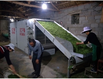 茶葉網(wǎng)帶烘干機(jī)