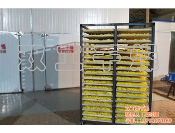 中藥材烘干箱
